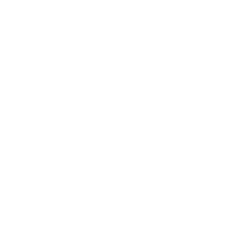 Design Execution